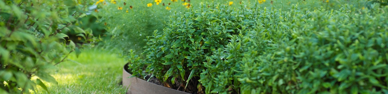 Blumen Metall Begrenzung